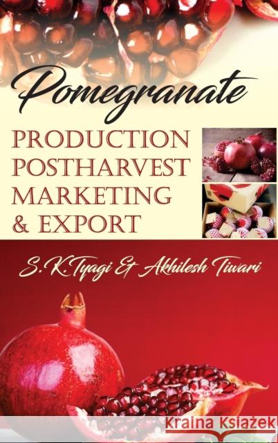 Pomegranate: Production Postharvest Marketing & Export: Production Postharvest Marketing & Export S. K. Tyagi Akhilesh Tiwari 9789386546135 New India Publishing Agency- Nipa - książka