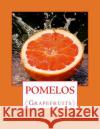 Pomelos: (Grapefruits) Chambers, Roger 9781717295026 Createspace Independent Publishing Platform