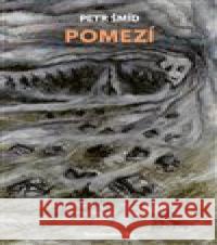 Pomezí Petr Šmíd 9788088367437 Nakladatelství Bor - książka