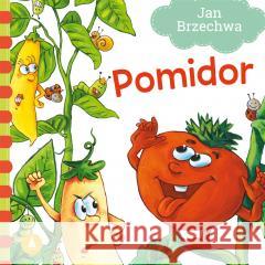 Pomidor Jan Brzechwa 9788382074581 Skrzat - książka