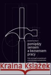Pomiędzy sensem a bezsensem pracy Bartłomiej Brach 9788320825404 Polskie Wydawnictwo Ekonomiczne - książka