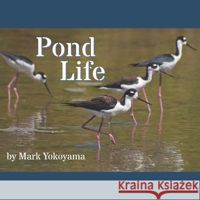 Pond Life Mark Yokoyama 9781660243679 Independently Published - książka