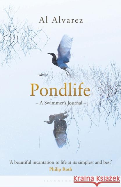 Pondlife: A Swimmer's Journal Al Alvarez 9781408841020 Bloomsbury Publishing PLC - książka