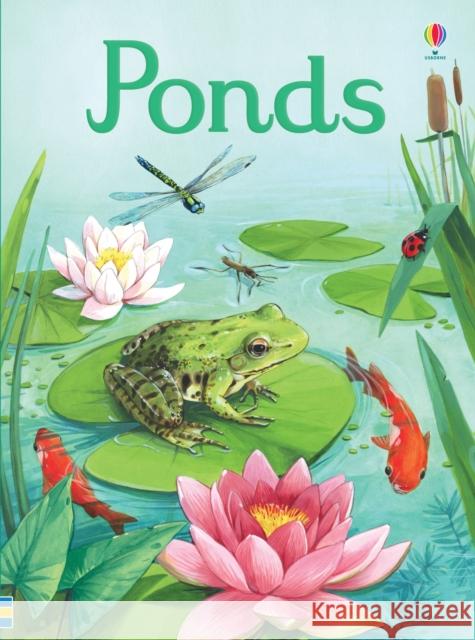 Ponds Bone, Emily 9781474953627 Usborne Publishing - książka