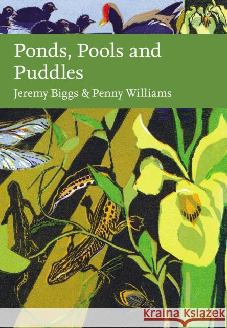 Ponds, Pools and Puddles Jeremy Briggs 9780002200851 HarperCollins Publishers - książka