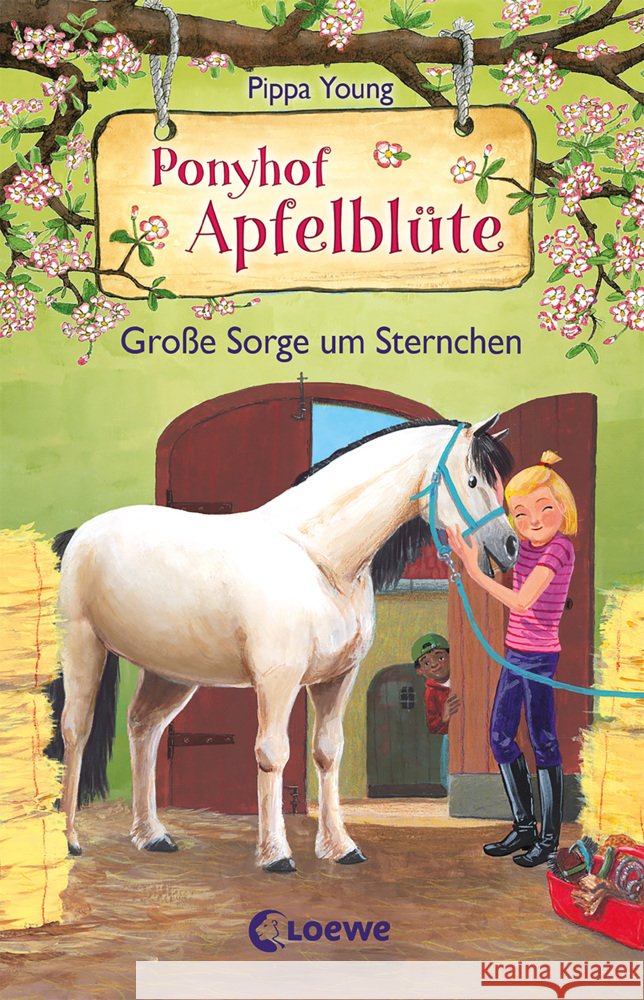 Ponyhof Apfelblüte (Band 18) - Große Sorge um Sternchen Young, Pippa 9783743211179 Loewe - książka