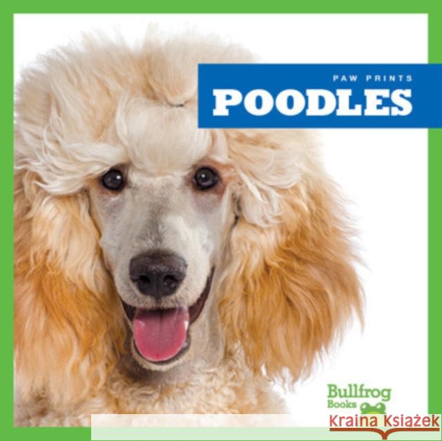 Poodles Kaitlyn Duling 9781624967801 Jump! Incorporated - książka