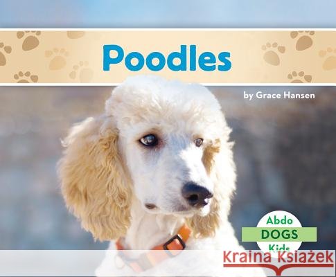 Poodles Grace Hansen 9781680805185 Abdo Kids - książka