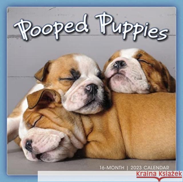 POOPED PUPPIES SELLERS PUBLISHING 9781531916336 GLOBAL PUBLISHER SERVICES - książka