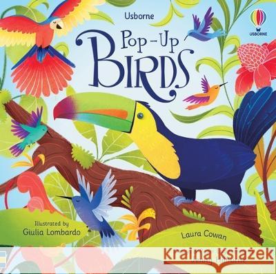 Pop-Up Birds Laura Cowan Giulia Lombardo 9781805317623 Usborne Books - książka