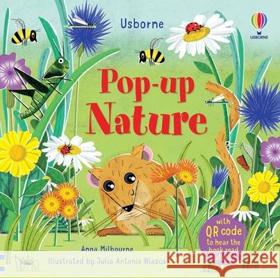 Pop-Up Nature Anna Milbourne Julio Antonio Blasco Lopez               Jenny Hilborne 9781835405390 Usborne Books - książka