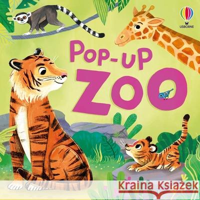 Pop-Up Zoo Micaela Tapsell Dorottya Szert-Szab? 9781836054078 Usborne Books - książka