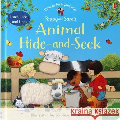 Poppy and Sam\'s Animal Hide-And-Seek Jenny Tyler Stephen Cartwright 9781805070757 Usborne Books - książka