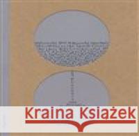 Poprvé v nějakém baru Igor Malijevský 9788088372288 Milan Hodek - książka