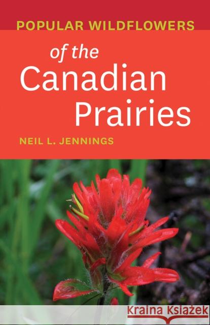 Popular Wildflowers of the Canadian Prairies  9781771603515 Rocky Mountain Books Incorporated - książka