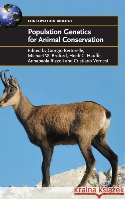 Population Genetics for Animal Conservation Giorgio Bertorelle (Università degli Studi di Ferrara, Italy), Michael W. Bruford (Cardiff University), Heidi C. Hauffe, 9780521866309 Cambridge University Press - książka