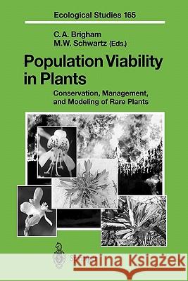 Population Viability in Plants: Conservation, Management, and Modeling of Rare Plants Christy A. Brigham, Mark W. Schwartz 9783642078699 Springer-Verlag Berlin and Heidelberg GmbH &  - książka