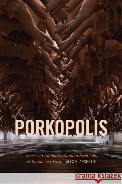 Porkopolis: American Animality, Standardized Life, and the Factory Farm Alex Blanchette 9781478007890 Duke University Press - książka