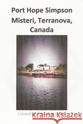 Port Hope Simpson Misteri, Terranova, Canada: Orale Storia e Interpretazione Pritchard, Llewelyn 9781480041813 Createspace - książka