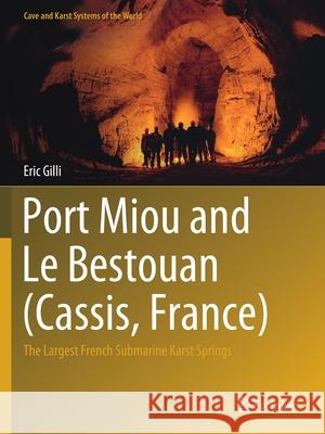 Port Miou and Le Bestouan (Cassis, France): The Largest French Submarine Karst Springs Eric Gilli 9783030501945 Springer - książka