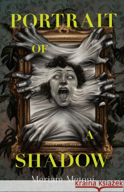 Portrait of a Shadow Meriam Metoui 9781250863263 Square Fish - książka