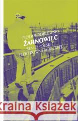 Poruszeni Awans i emocje w socjalistycznej Polsce SZCZEŚNIAK MAGDA 9788367075800 KRYTYKA POLITYCZNA - książka