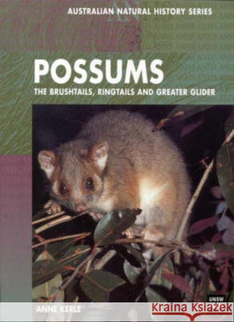 Possums: The Brushtails, Ringtails and Greater Glider Kerle, Anne 9780868404196 University of New South Wales Press - książka