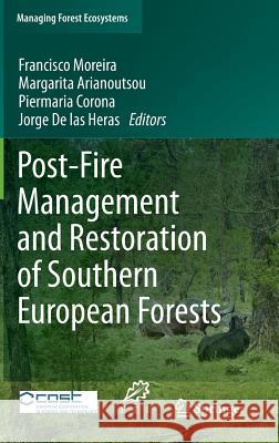 Post-Fire Management and Restoration of Southern European Forests  9789400722071 Springer Netherlands - książka