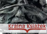Post Scriptum Jiří Sozanský 9788090496286 Symposion - książka