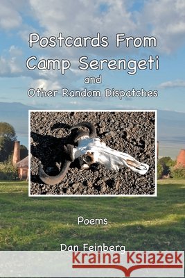 Postcards From Camp Serengeti: and Other Random Dispatches Feinberg, Dan 9781453598375 Xlibris Us - książka