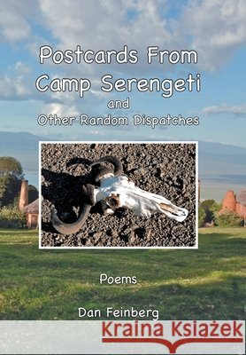 Postcards From Camp Serengeti: and Other Random Dispatches Feinberg, Dan 9781456838621 Xlibris Us - książka