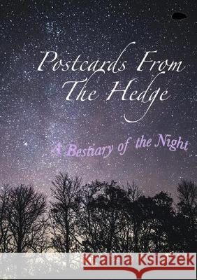 Postcards From The Hedge: A Bestiary of the Night `desmond Childs, Mark Davidson 9781916090873 Hedgehog Poetry Press - książka