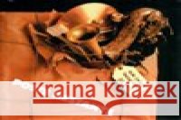Poste restante Pražský big band 8594042902061 Galén - książka