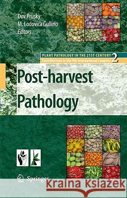 Postharvest Pathology Prusky, Dov 9781402089299 Springer - książka