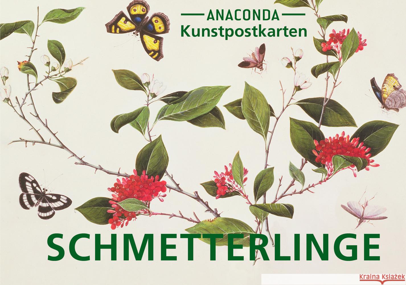 Postkarten-Set Schmetterlinge  9783730615041 Anaconda - książka