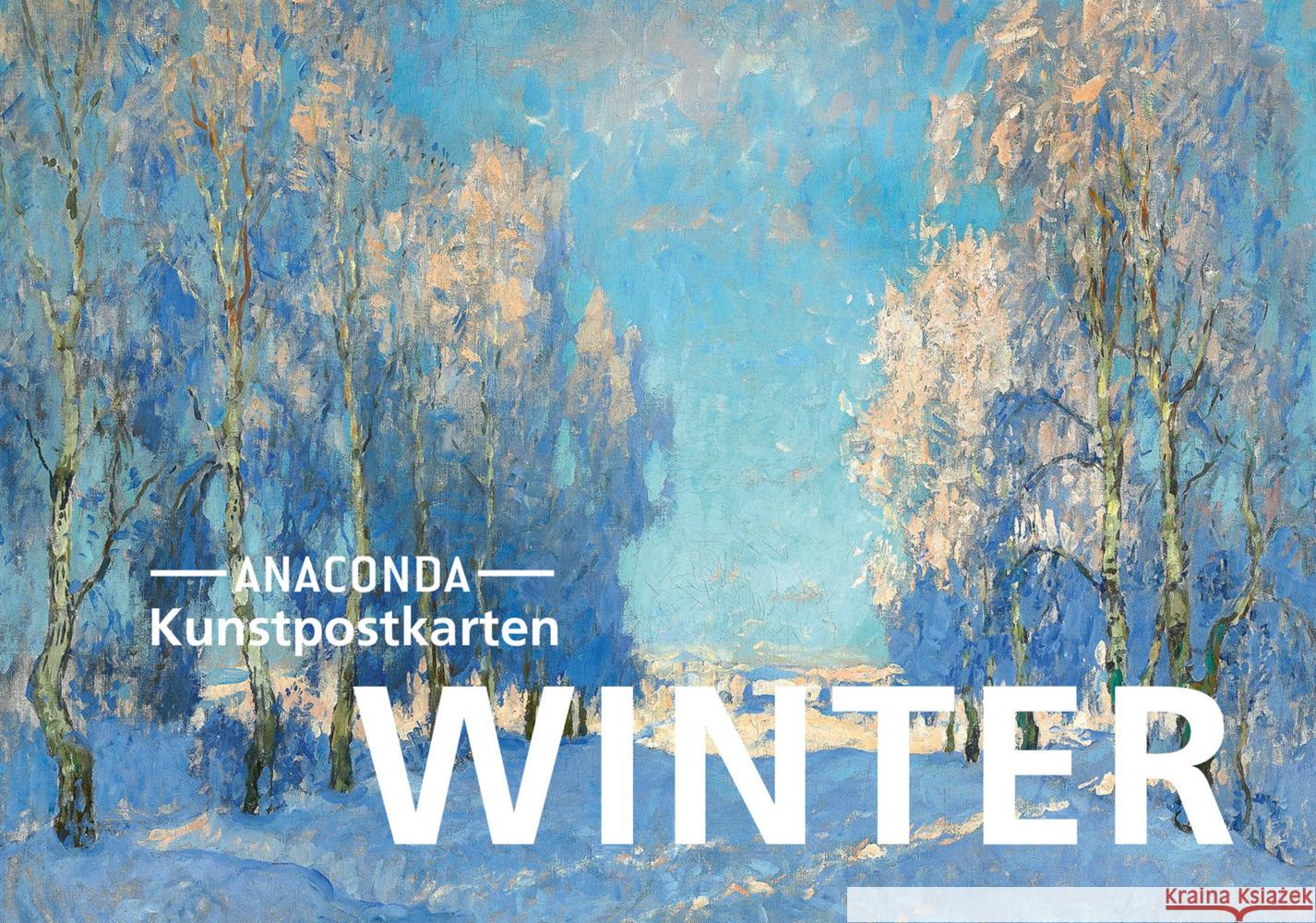 Postkarten-Set Winter  9783730611821 Anaconda - książka