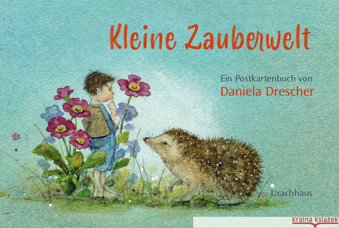 Postkartenbuch »Kleine Zauberwelt« Drescher, Daniela 9783825154240 Urachhaus - książka