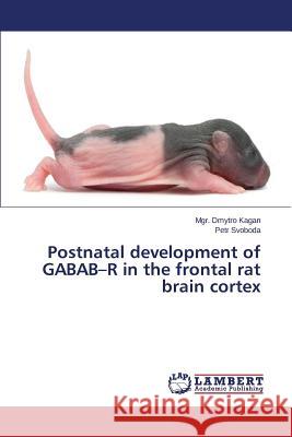 Postnatal development of GABAB-R in the frontal rat brain cortex Kagan Mgr Dmytro 9783659613319 LAP Lambert Academic Publishing - książka
