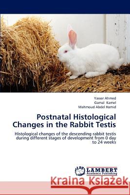 Postnatal Histological Changes in the Rabbit Testis  9783659295492 LAP Lambert Academic Publishing - książka