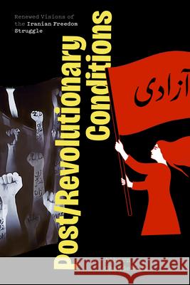 Post/Revolutionary Conditions: Renewed Visions of the Iranian Freedom Struggle Alborz Ghandehari 9780810147980 Northwestern University Press - książka