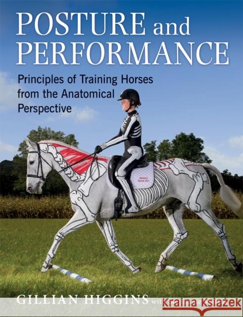 Posture and Performance: Principles of Training Horses from the Anatomical Perspective Gillian Higgins 9781910016008 Quiller Publishing Ltd - książka