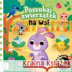 Poszukaj zwierzątek na wsi. Książka z latarką Grażyna Wasilewicz 9788383740225 Aksjomat - książka
