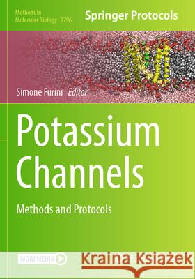 Potassium Channels  9781071638200 Springer US - książka