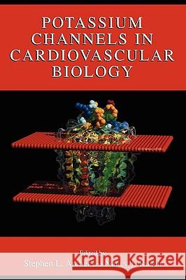 Potassium Channels in Cardiovascular Biology Archer, Stephen L. 9780306464027 Kluwer Academic Publishers - książka
