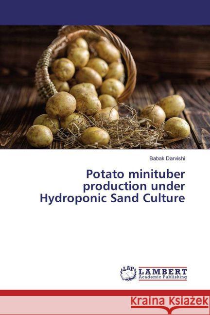 Potato minituber production under Hydroponic Sand Culture Darvishi, Babak 9783659870439 LAP Lambert Academic Publishing - książka