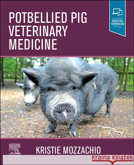 Potbellied Pig Veterinary Medicine Mozzachio, Kristie 9780323763592 Elsevier - książka