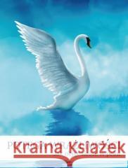 Potęga wrażliwości Karolina Bochenek 9788367768009 Biały Wiatr - książka