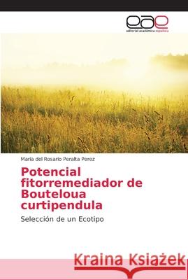 Potencial fitorremediador de Bouteloua curtipendula Peralta Perez, María del Rosario 9783659102363 Editorial Académica Española - książka