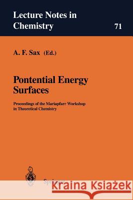 Potential Energy Surfaces: Proceedings of the Mariapfarr Workshop in Theoretical Chemistry Sax, Alexander F. 9783540651062 Springer - książka