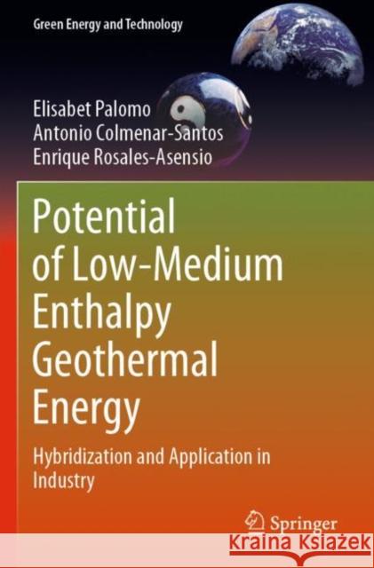 Potential of Low-Medium Enthalpy Geothermal Energy: Hybridization and Application in Industry Elisabet Palomo Antonio Colmenar-Santos Enrique Rosales-Asensio 9783030956288 Springer - książka